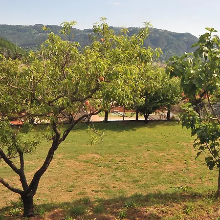 Podere Il Riposo Hotel Camaiore