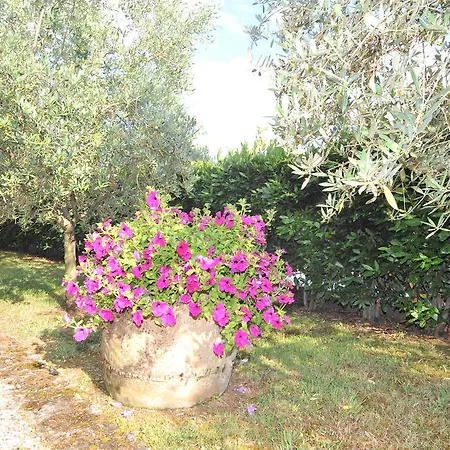 Podere Il Riposo Hotel 2*