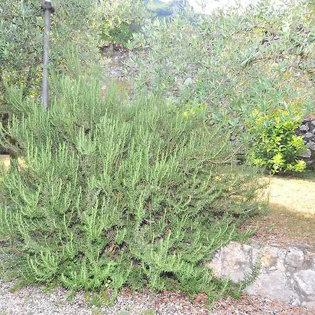 Podere Il Riposo