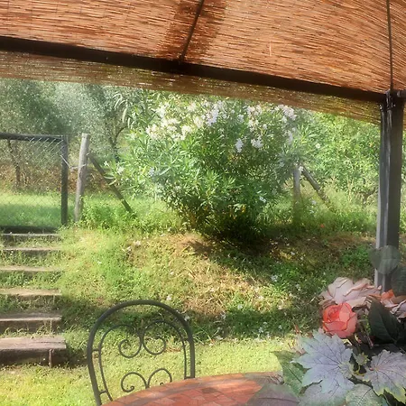 Hotel Podere Il Riposo Camaiore
