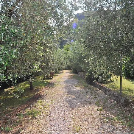 Podere Il Riposo 2* Camaiore